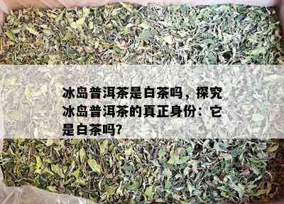 冰岛普洱茶是白茶吗，探究冰岛普洱茶的真正身份：它是白茶吗？