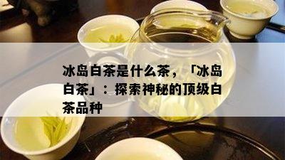 冰岛白茶是什么茶，「冰岛白茶」：探索神秘的顶级白茶品种