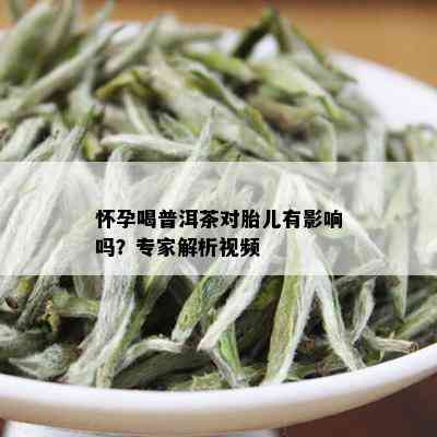 怀孕喝普洱茶对胎儿有影响吗？专家解析视频