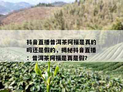 抖音直播普洱茶阿福是真的吗还是假的，揭秘抖音直播：普洱茶阿福是真是假？