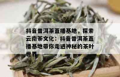 抖音普洱茶直播基地，探索云南茶文化：抖音普洱茶直播基地带你走进神秘的茶叶世界