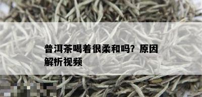 普洱茶喝着很柔和吗？原因解析视频