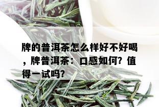 牌的普洱茶怎么样好不好喝，牌普洱茶：口感如何？值得一试吗？