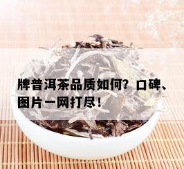 牌普洱茶品质如何？口碑、图片一网打尽！