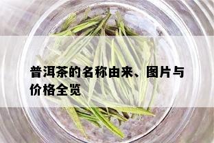 普洱茶的名称由来、图片与价格全览