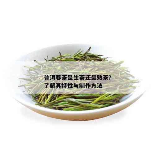 普洱春茶是生茶还是熟茶？了解其特性与制作方法