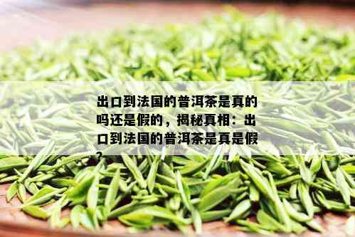 出口到法国的普洱茶是真的吗还是假的，揭秘真相：出口到法国的普洱茶是真是假？