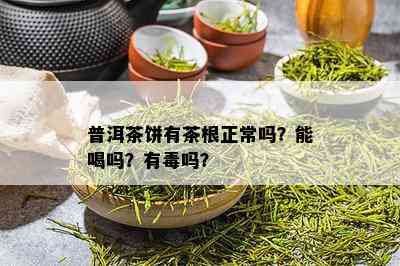 普洱茶饼有茶根正常吗？能喝吗？有吗？