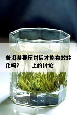 普洱茶要压饼后才能有效转化吗？——上的讨论