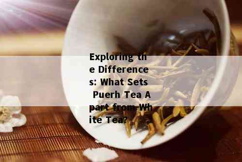 Exploring the Differences: What Sets Puerh Tea Apart from White Tea?