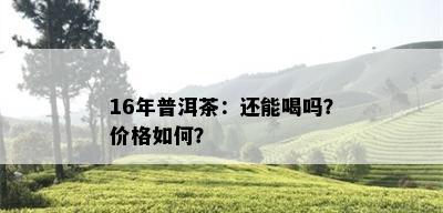 16年普洱茶：还能喝吗？价格如何？