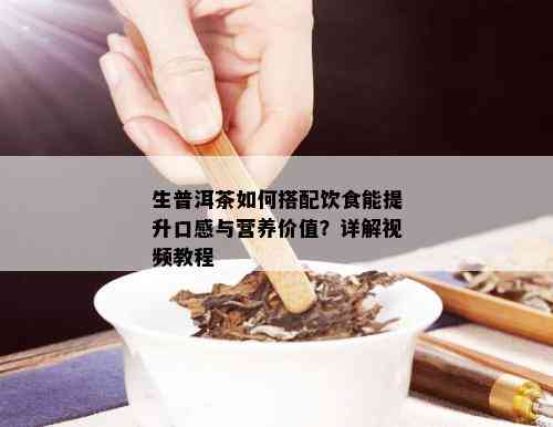 生普洱茶如何搭配饮食能提升口感与营养价值？详解视频教程