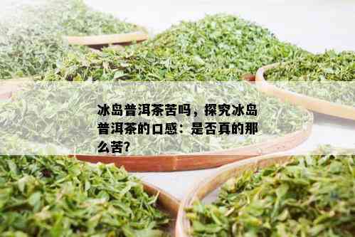 冰岛普洱茶苦吗，探究冰岛普洱茶的口感：是否真的那么苦？