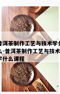 普洱茶制作工艺与技术学什么-普洱茶制作工艺与技术学什么课程