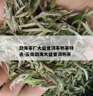 勐海茶厂大益普洱茶熟茶特点-云南勐海大益普洱熟茶