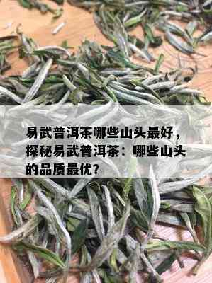 易武普洱茶哪些山头更好，探秘易武普洱茶：哪些山头的品质更优？