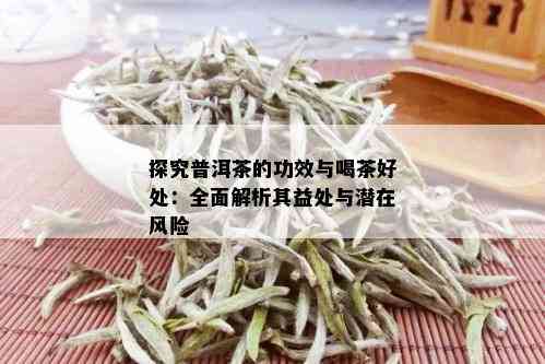 探究普洱茶的功效与喝茶好处：全面解析其益处与潜在风险