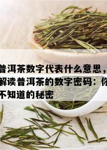 普洱茶数字代表什么意思，解读普洱茶的数字密码：你不知道的秘密