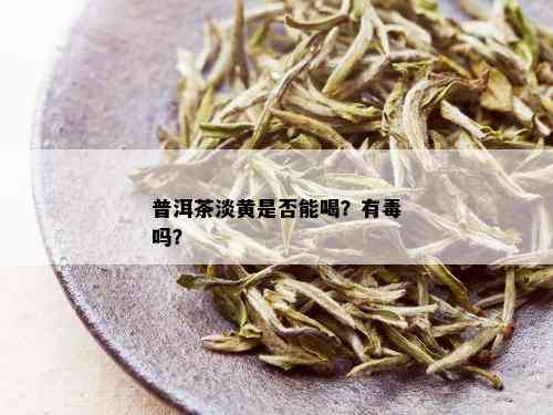 普洱茶淡黄是否能喝？有吗？