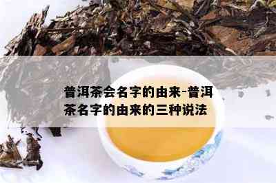 普洱茶会名字的由来-普洱茶名字的由来的三种说法