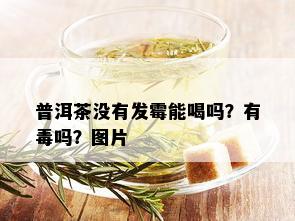 普洱茶没有发霉能喝吗？有吗？图片