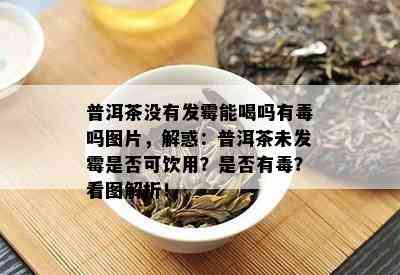 普洱茶没有发霉能喝吗有吗图片，解惑：普洱茶未发霉是否可饮用？是否有？看图解析！