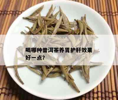 喝哪种普洱茶养胃护肝效果好一点？