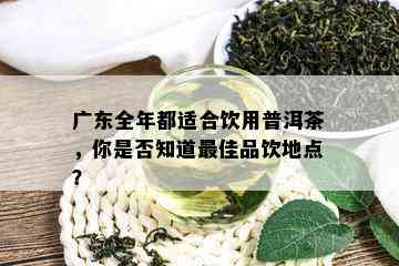 广东全年都适合饮用普洱茶，你是否知道更佳品饮地点？