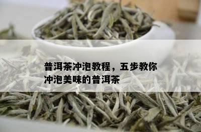 普洱茶冲泡教程，五步教你冲泡美味的普洱茶