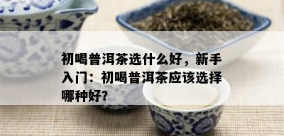 初喝普洱茶选什么好，新手入门：初喝普洱茶应该选择哪种好？