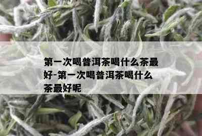 之一次喝普洱茶喝什么茶更好-之一次喝普洱茶喝什么茶更好呢