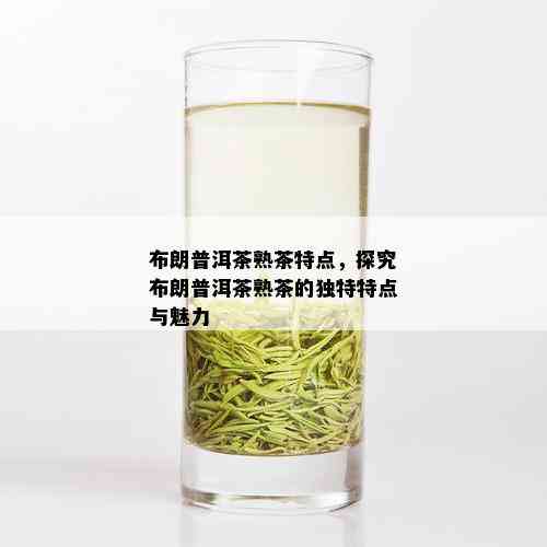 布朗普洱茶熟茶特点，探究布朗普洱茶熟茶的独特特点与魅力