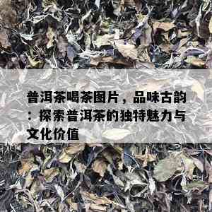 普洱茶喝茶图片，品味古韵：探索普洱茶的独特魅力与文化价值