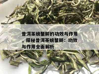 普洱茶螃蟹脚的功效与作用，探秘普洱茶螃蟹脚：功效与作用全面解析