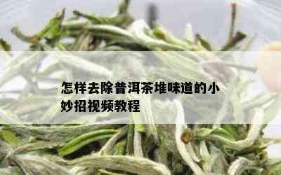 怎样去除普洱茶堆味道的小妙招视频教程