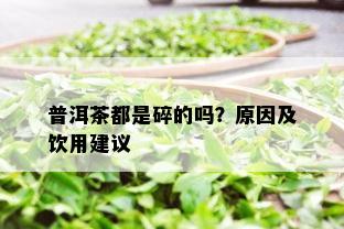 普洱茶都是碎的吗？原因及饮用建议