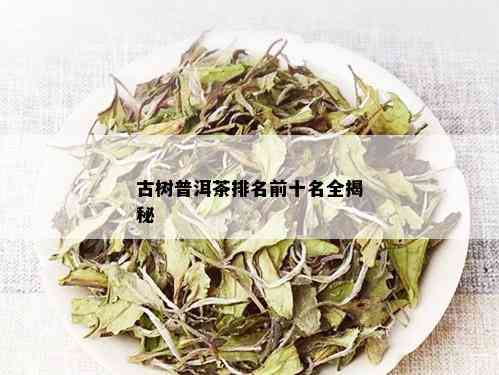 古树普洱茶排名前十名全揭秘