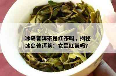 冰岛普洱茶是红茶吗，揭秘冰岛普洱茶：它是红茶吗？