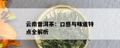 云南普洱茶：口感与味道特点全解析