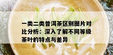 一类二类普洱茶区别图片对比分析：深入了解不同等级茶叶的特点与差异