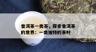 普洱茶一类茶，探索普洱茶的世界：一类独特的茶叶