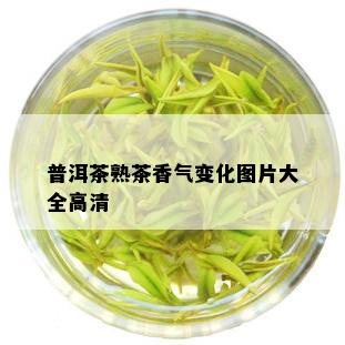 普洱茶熟茶香气变化图片大全高清