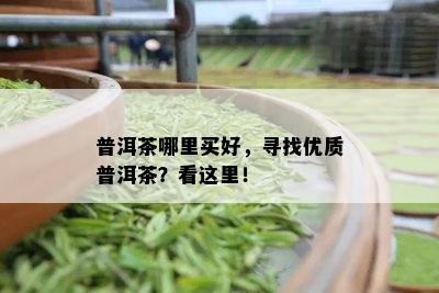 普洱茶哪里买好，寻找优质普洱茶？看这里！