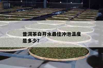 普洱茶白开水更佳冲泡温度是多少？