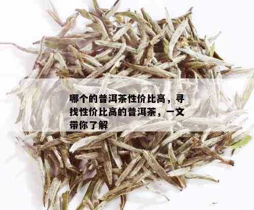 哪个的普洱茶性价比高，寻找性价比高的普洱茶，一文带你了解