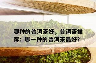 哪种的普洱茶好，普洱茶推荐：哪一种的普洱茶更好？