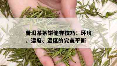 普洱茶茶饼储存技巧：环境、湿度、温度的完美平衡