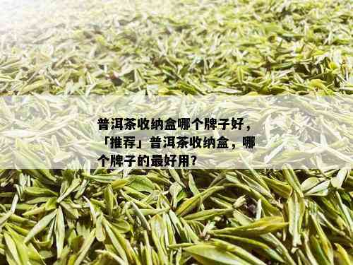 普洱茶收纳盒哪个牌子好，「推荐」普洱茶收纳盒，哪个牌子的更好用？