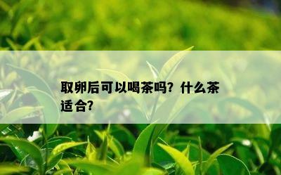 取卵后可以喝茶吗？什么茶适合？