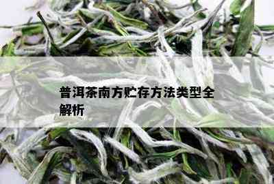 普洱茶南方贮存方法类型全解析